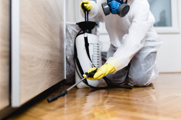 Best Termite Control Services  in Whitesboro, AL