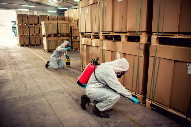 Best Pest Control for Homes  in Whitesboro, AL