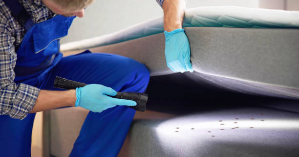 Best Affordable Pest Control Services  in Whitesboro, AL
