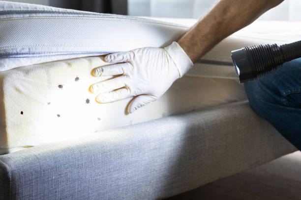 Best Pest Control for Restaurants  in Whitesboro, AL