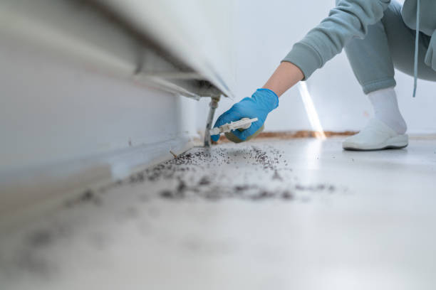 Best Pest Control Near Me in Whitesboro, AL